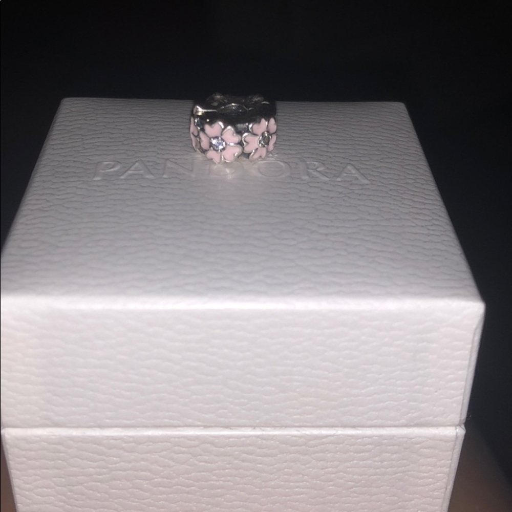 Pandora bracelet clip!